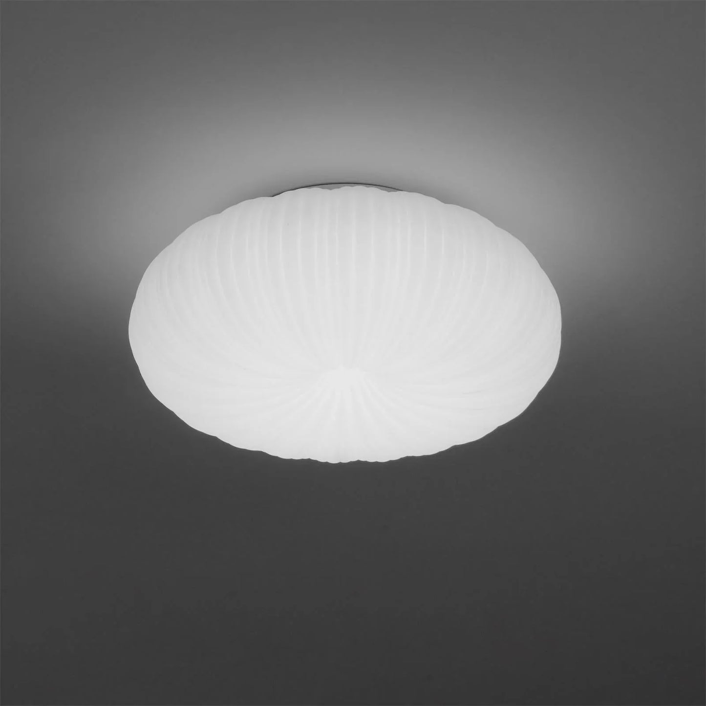 Dome Shaped Ceiling Lamp with LED