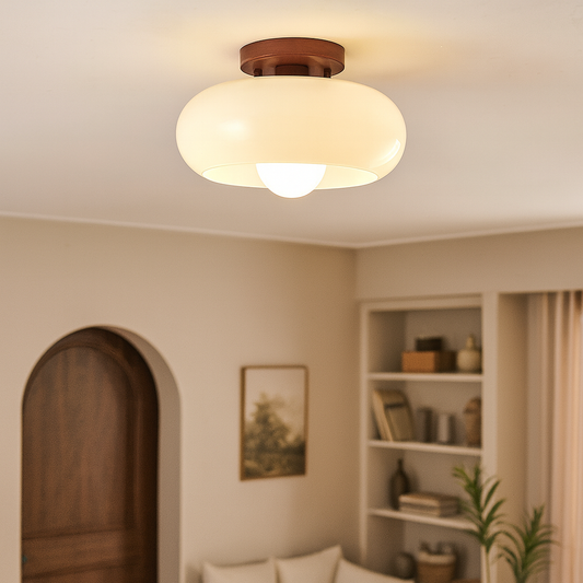 Flush Mount LED Ceiling Lamp
